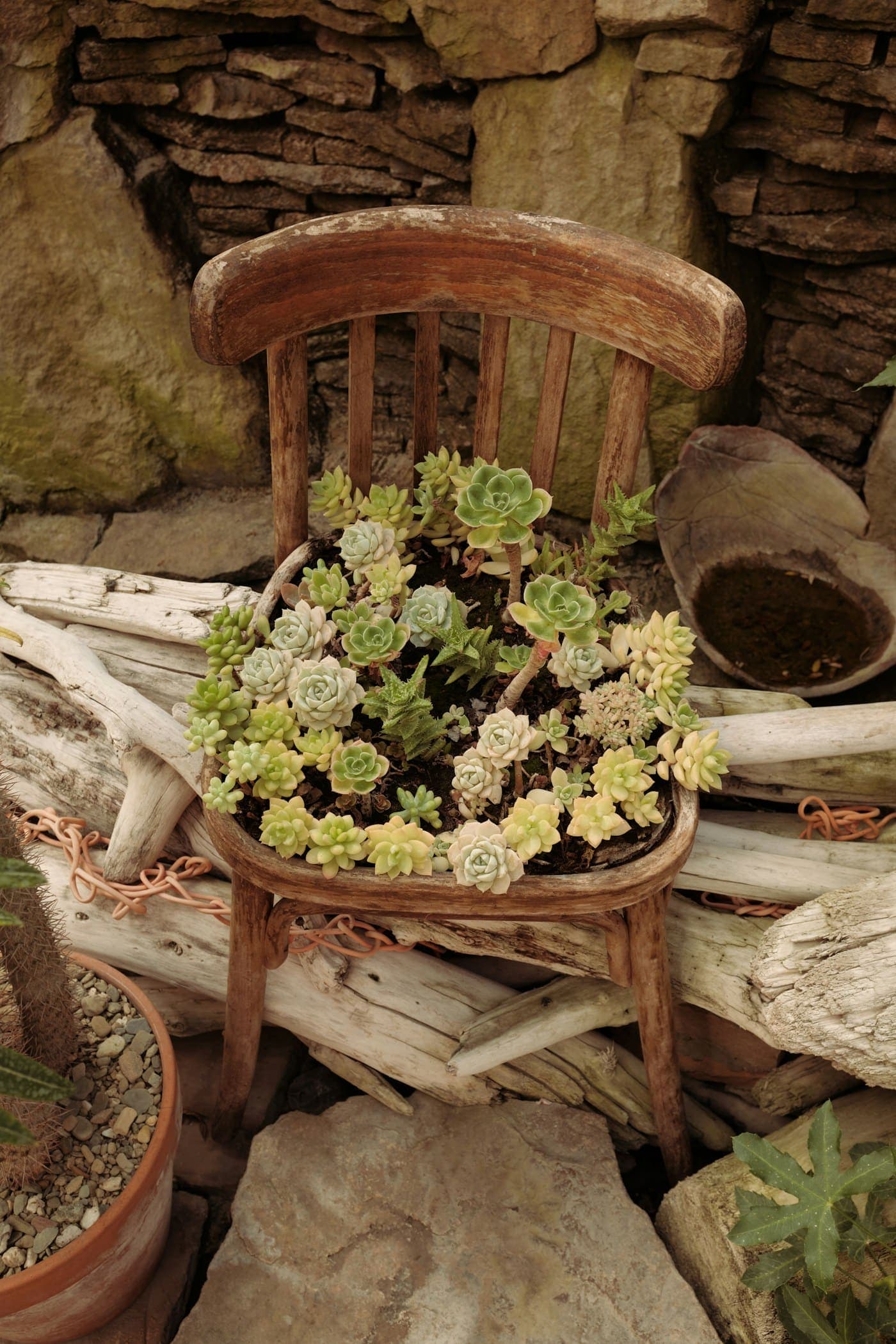 Vivero Succulentae · Almería